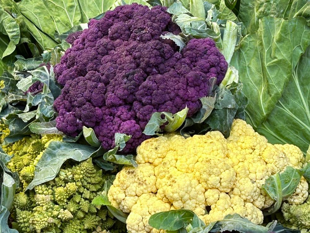 紫色花椰菜、青花菜等含豐富維他命C。