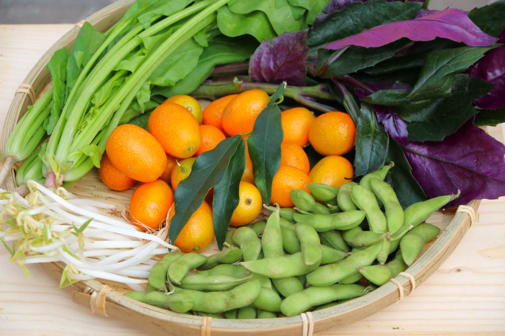 市場常見的綠豆芽、紅鳳菜、金棗、毛豆莢等，都含有豐富鈣質。