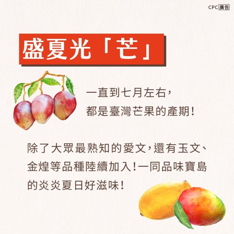 芒果產期與品種