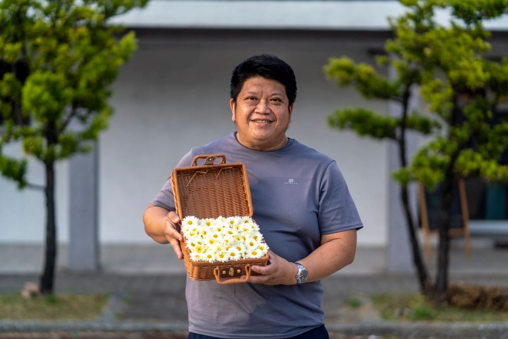 經營大埔農場的農友許復堡，投入有機杭菊的培育